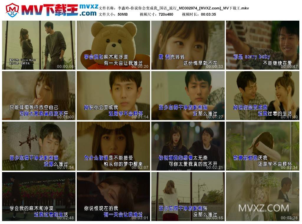 李鑫玲-你说你会变成我_国语_流行_MD302974